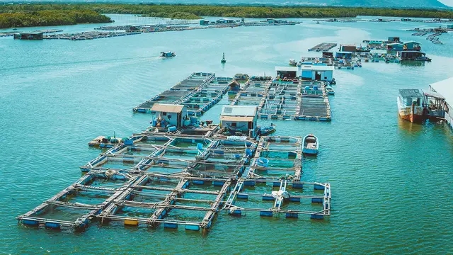Du lịch địa phương